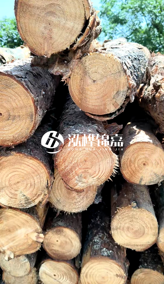 周口挖機(jī)打木樁專業(yè)施工-杉木樁施工打樁怎么打？
