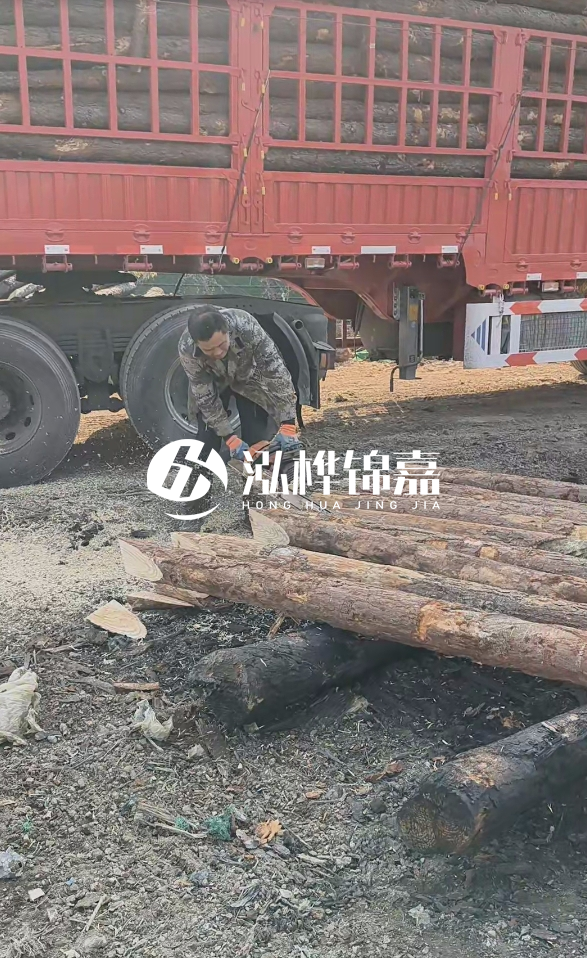 2米松木樁多少錢一根？15-20CM直徑價格是多少？
