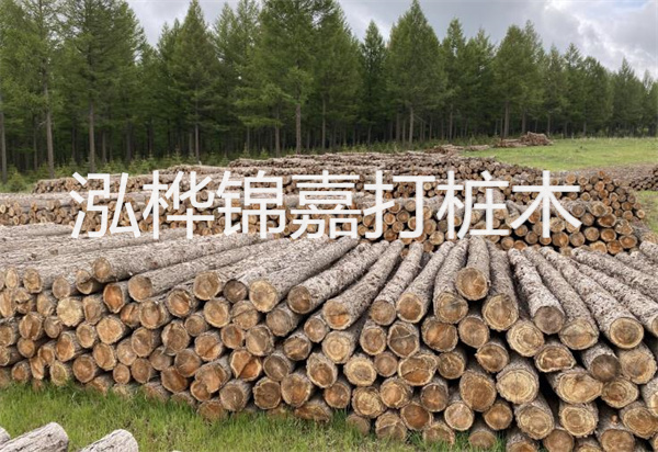 松木樁能施工嗎？探究視頻揭秘真相！