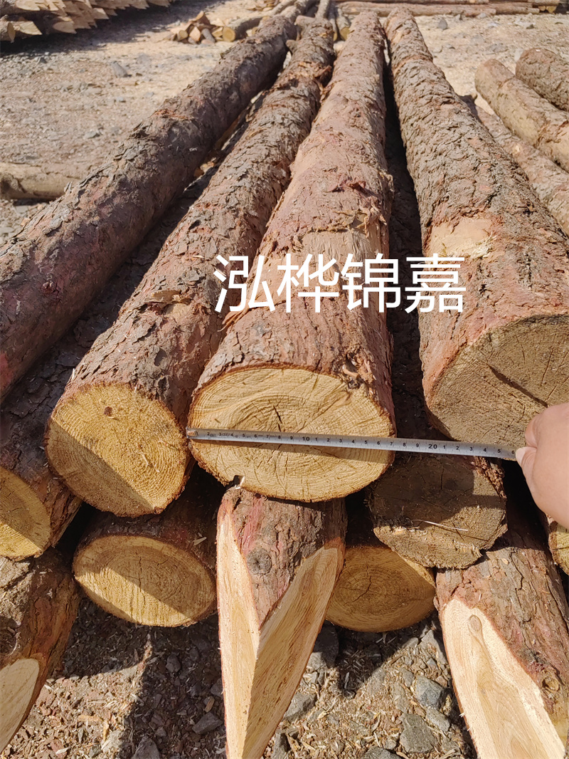 福建哪里買松木樁？